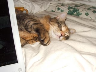 I'm not waking up, you can't make me!