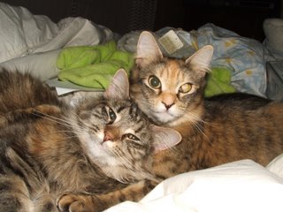 snuggling with Kit