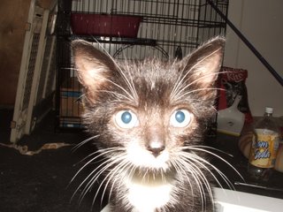 Oliver